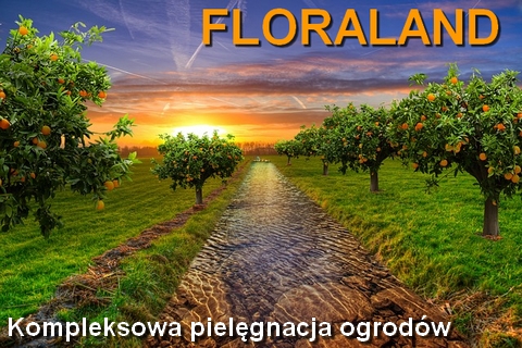 Floraland sklep