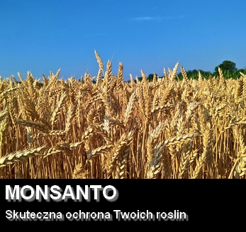 Monsanto gdzie kupić