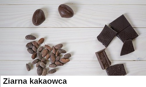 Z kąd pochodzi kakao?