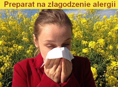Alergia – czym jest