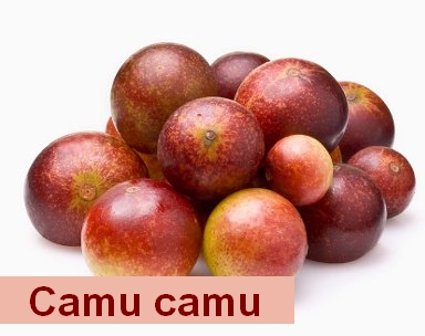 Dlaczego warto stosować produkt Camu camu?
